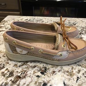 Sorry Topsider Angelfish